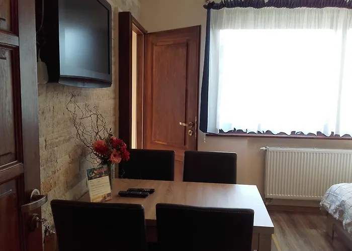 Klaudia Centrum Homestay *